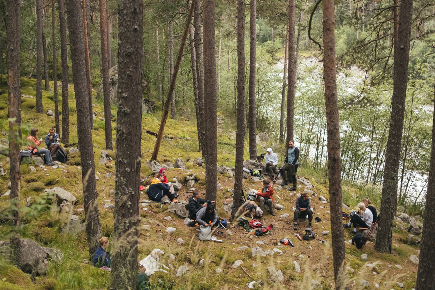 Северная Осетия с собакой - фото 2