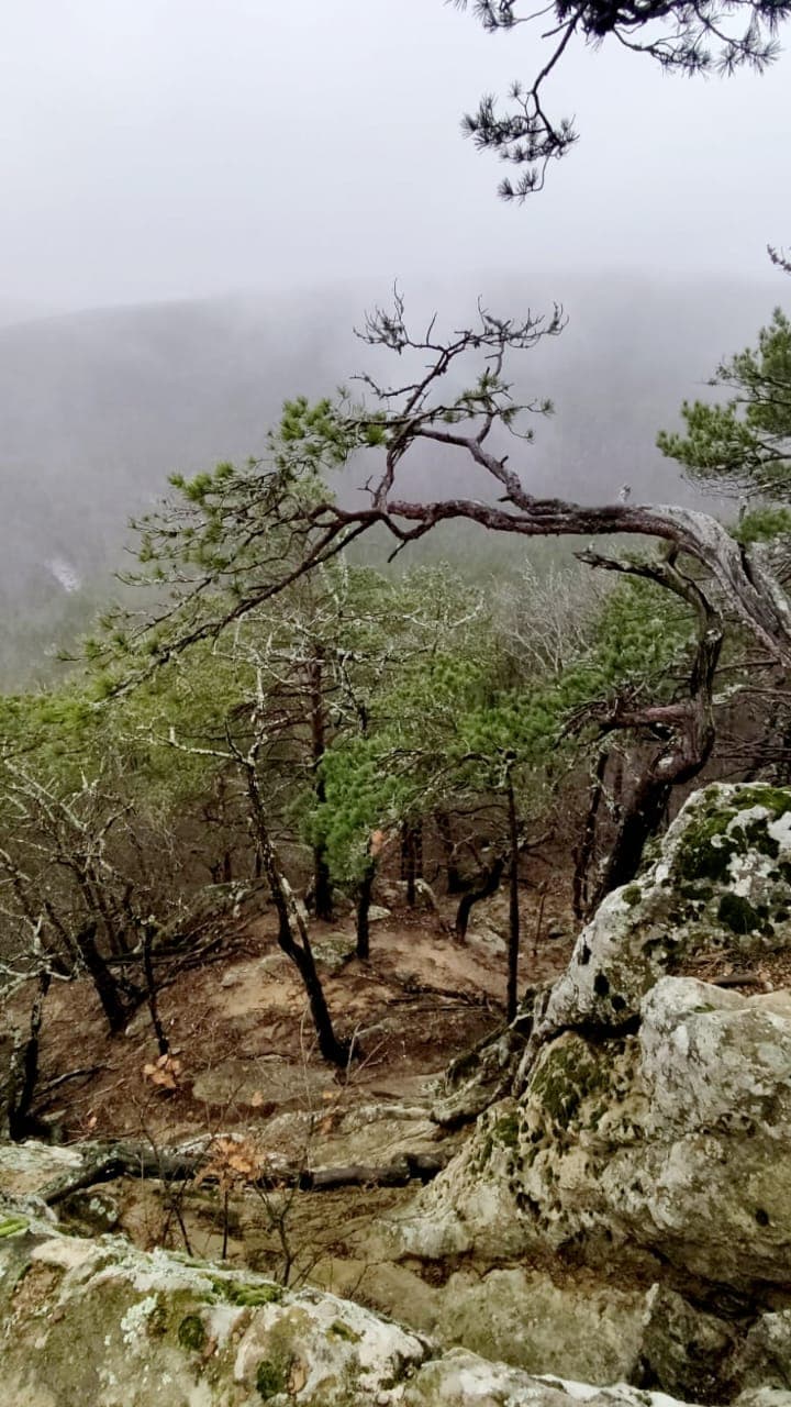 Детский туристический лагерь (весна / осень). - фото 11