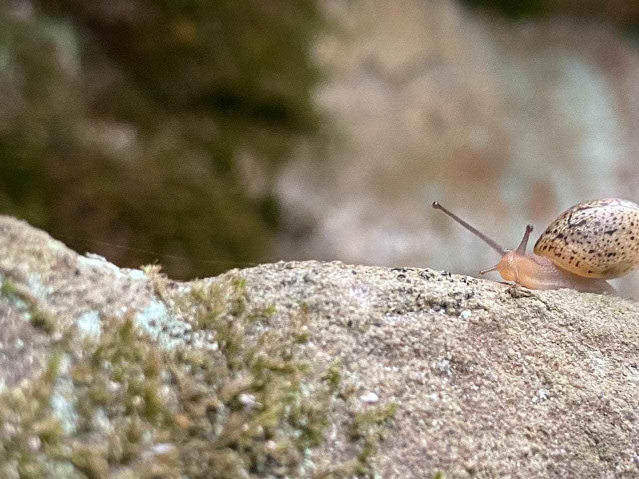 Детский туристический лагерь (весна / осень). - фото 11
