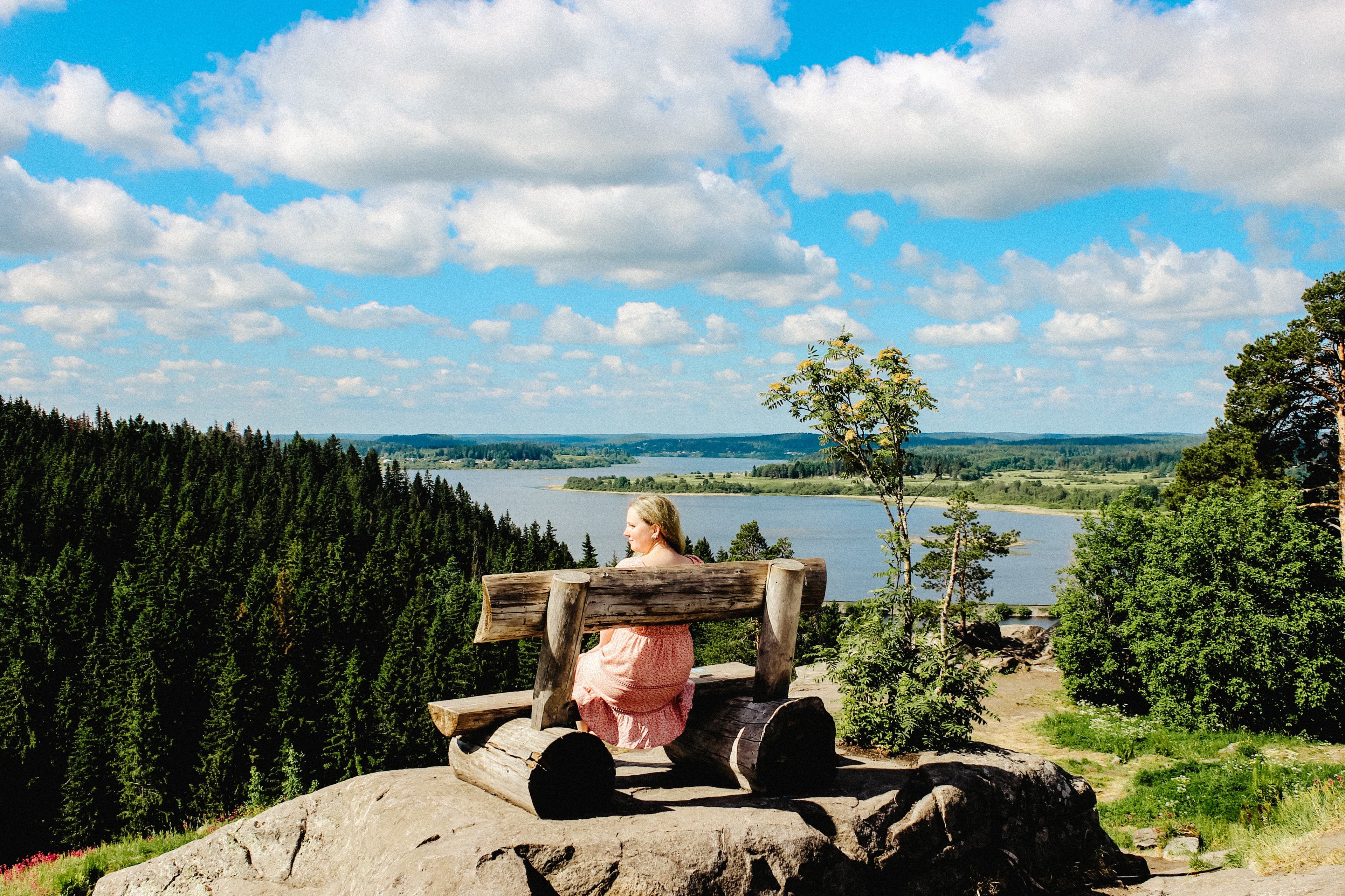 ВОДНЫЙ МИР ПРИЛАДОЖЬЯ. Лето 2026 - фото 6