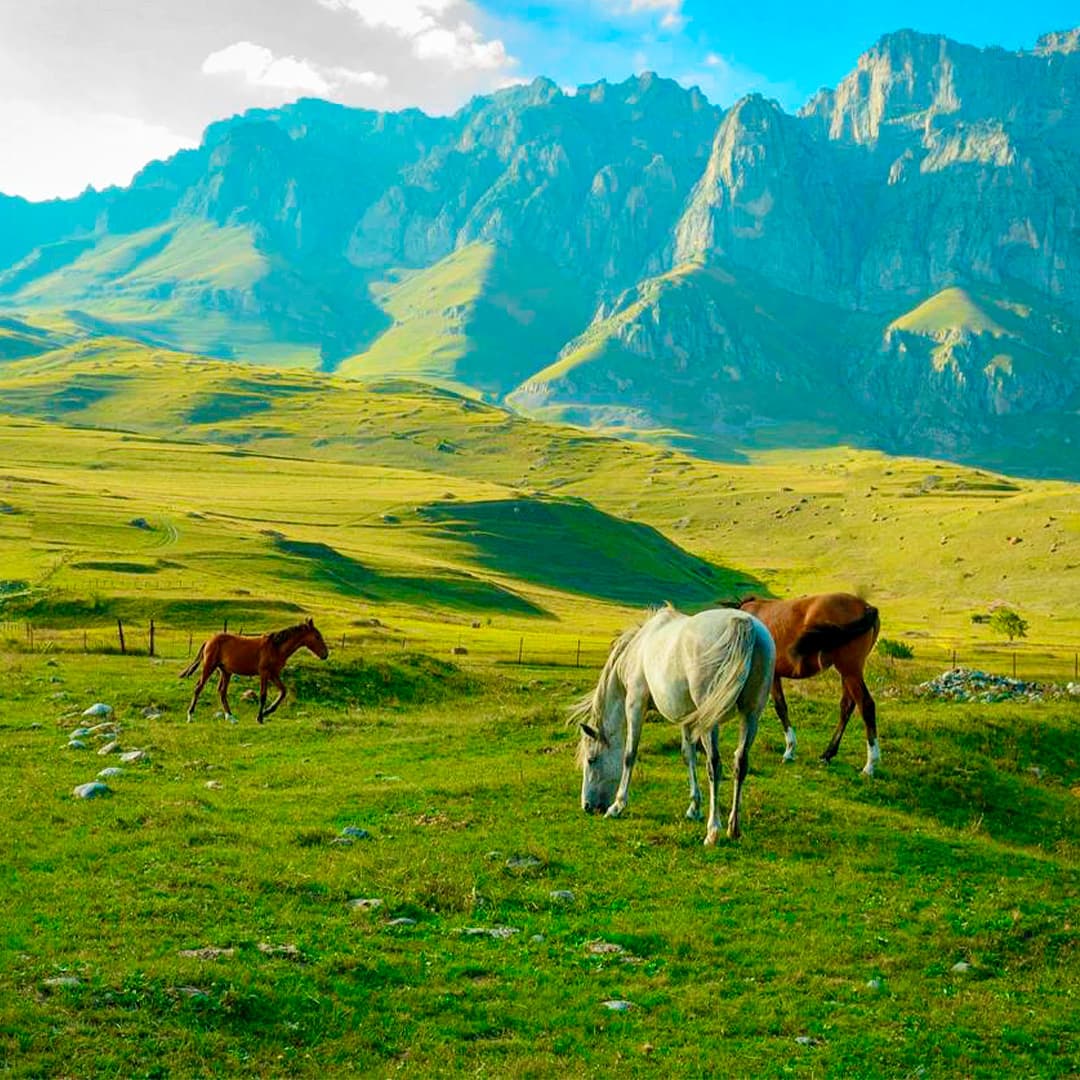 Северная Осетия