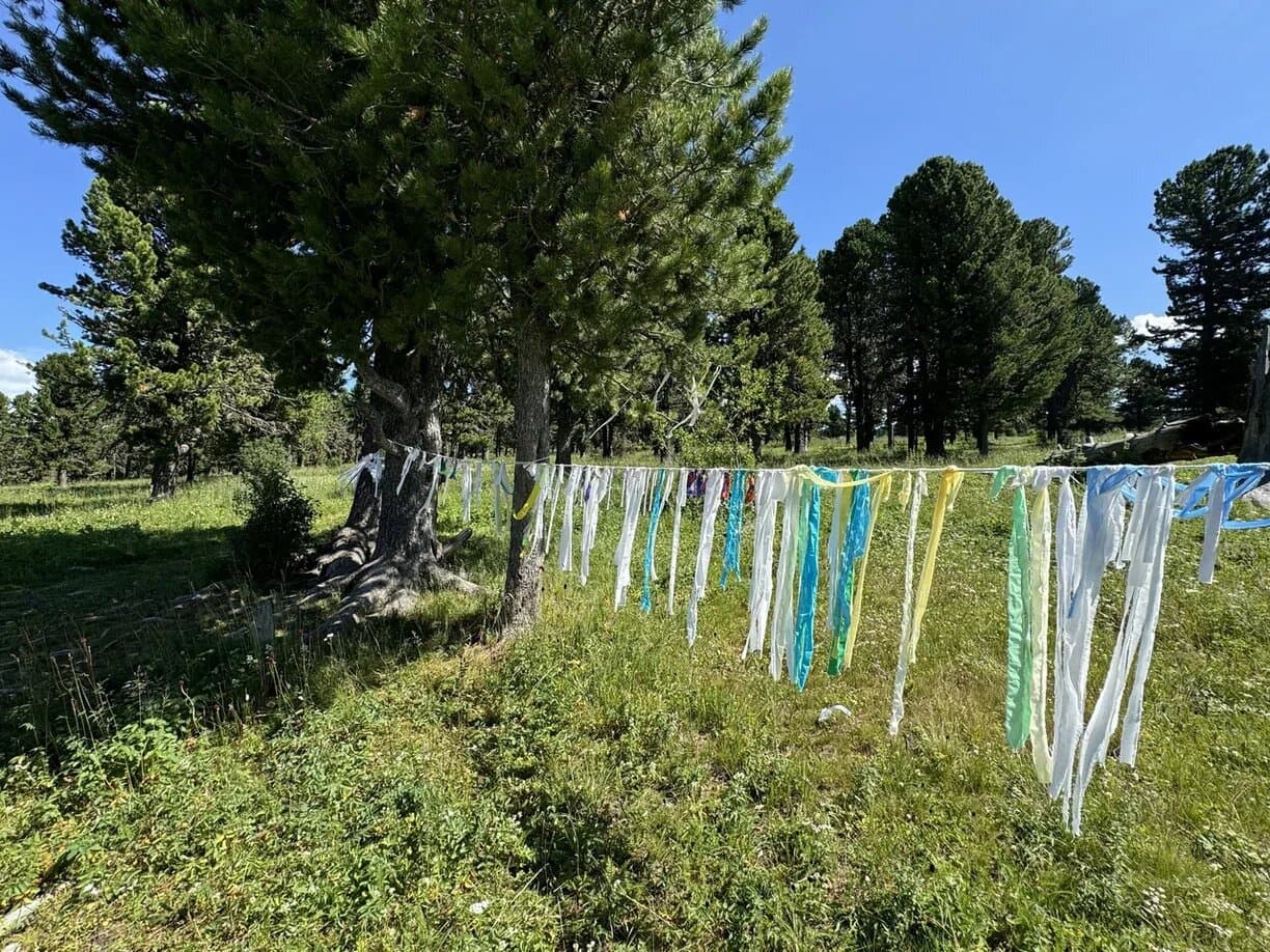 Весна в сердце алтайских гор - фото 7