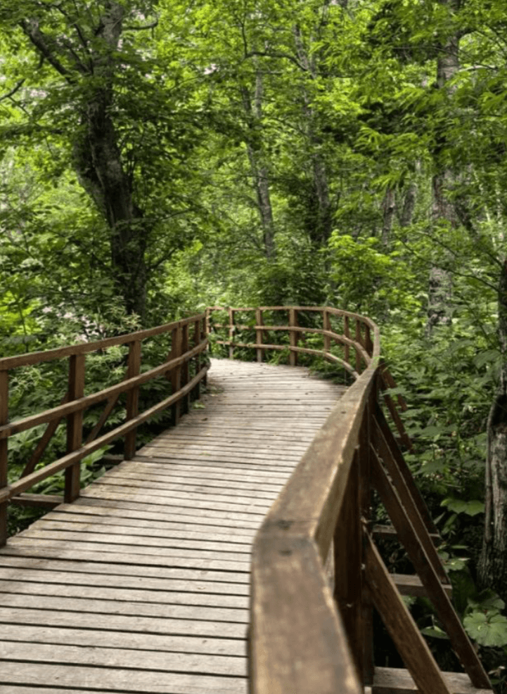 Трекинг на гору Лягушка: прикоснись к древним тайнам Сахалина! - фото 4