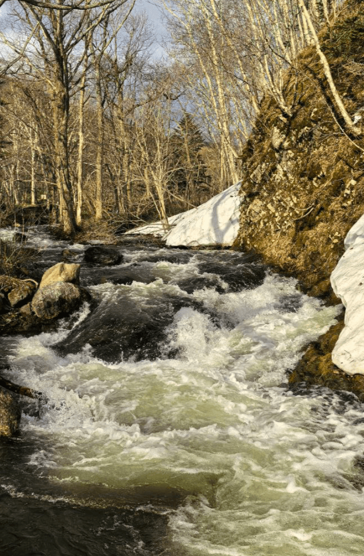 Трекинг на гору Лягушка: прикоснись к древним тайнам Сахалина! - фото 5