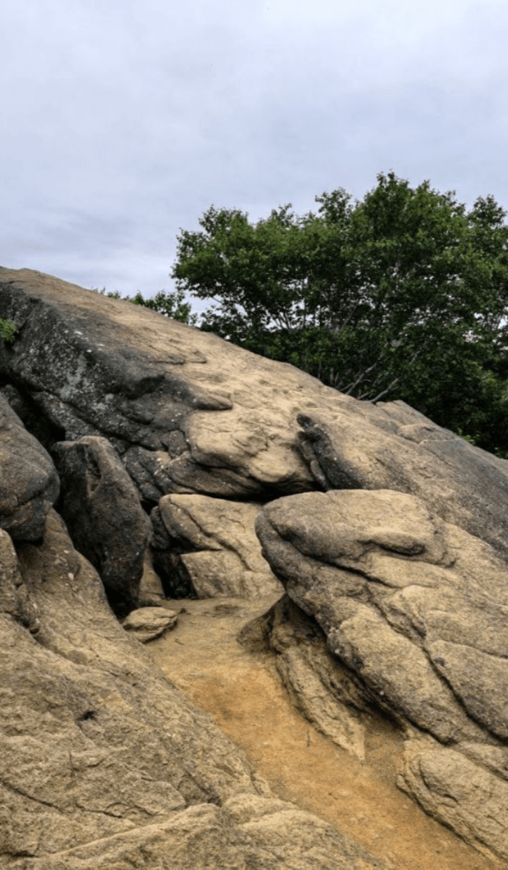 Трекинг на гору Лягушка: прикоснись к древним тайнам Сахалина! - фото 3