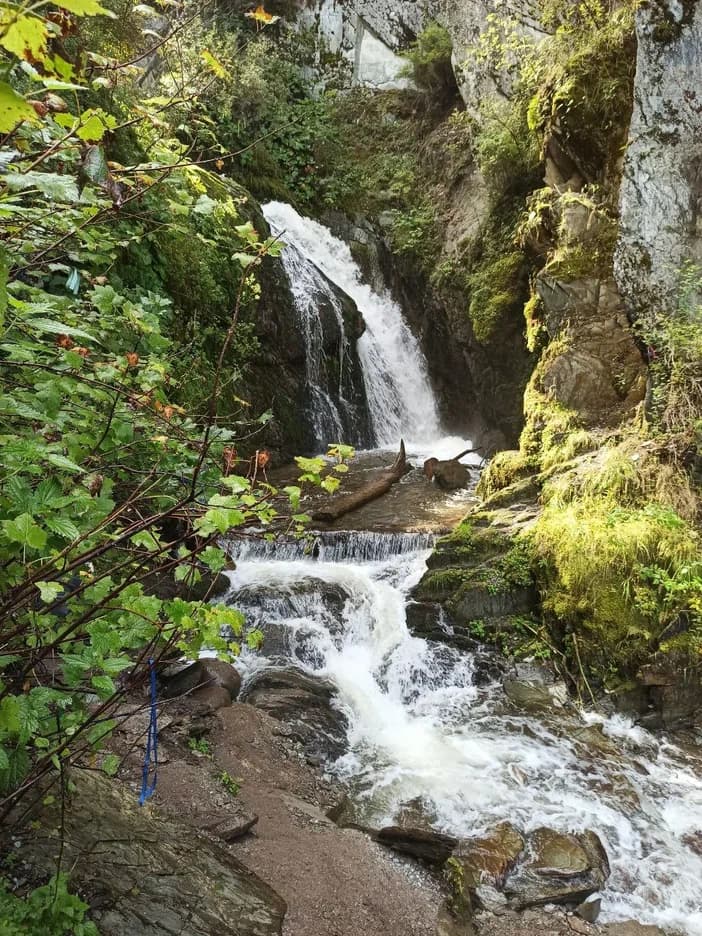 Кольцевой тур «Дорогами древних цивилизаций Алтая» ( 8 дней / 7 ночей ) - фото 6
