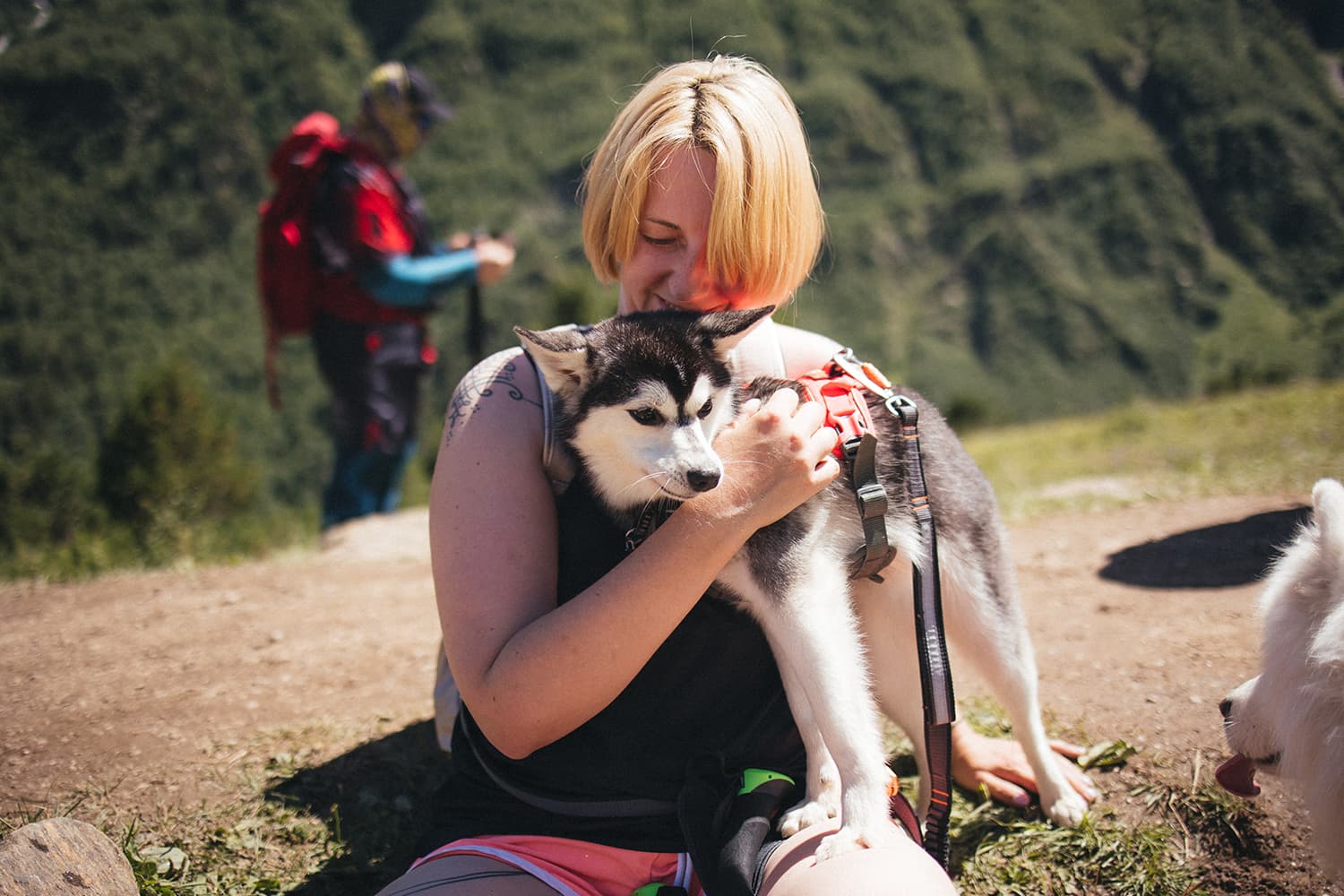 Приэльбрусье с собакой - фото 7