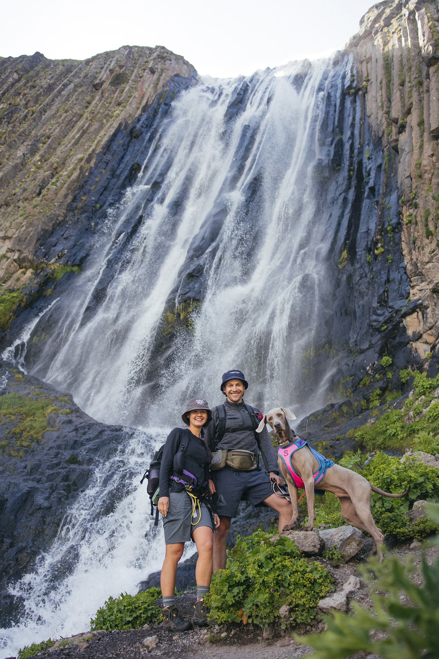 Приэльбрусье с собакой - фото 6