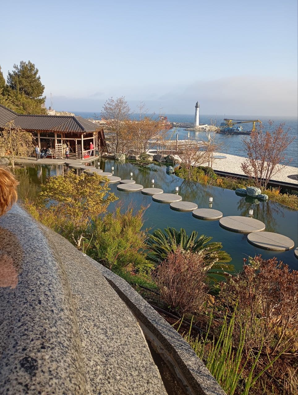 Цветение сакур в Японском саду. - фото 5