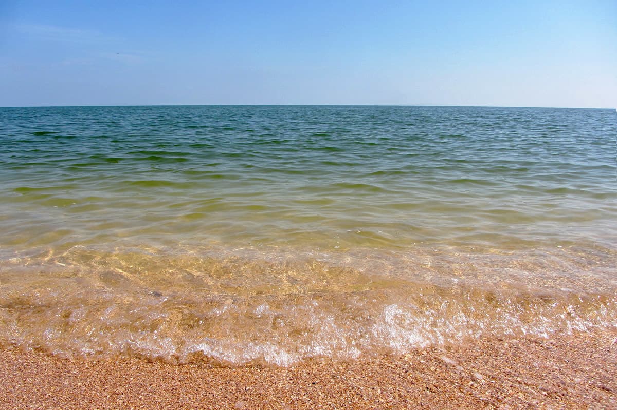 ЛОТОСЫ+ АЗОВСКОЕ МОРЕ - фото 7