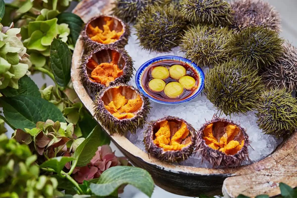 Эксклюзивная гастрономическая экскурсия «Охота на морского ежа» - фото 9