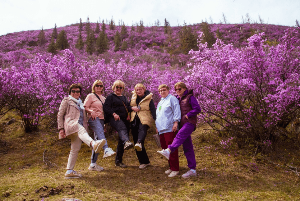 Цветение маральника в Акташе