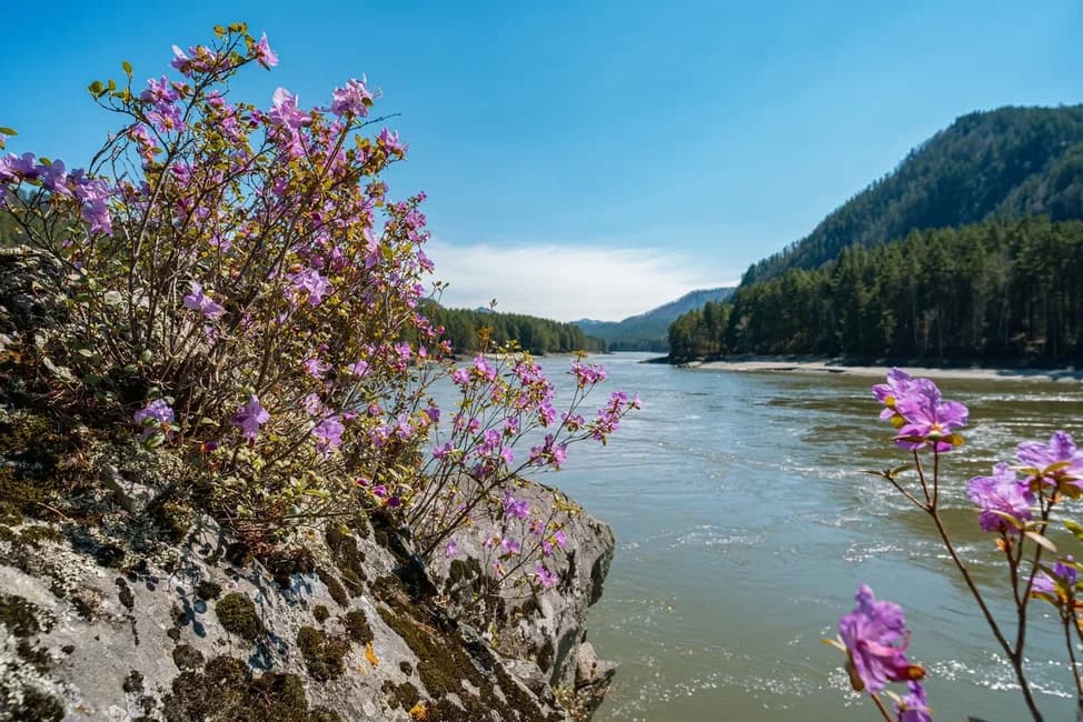 Автотур «Цветение маральника 3 дня» - фото 9