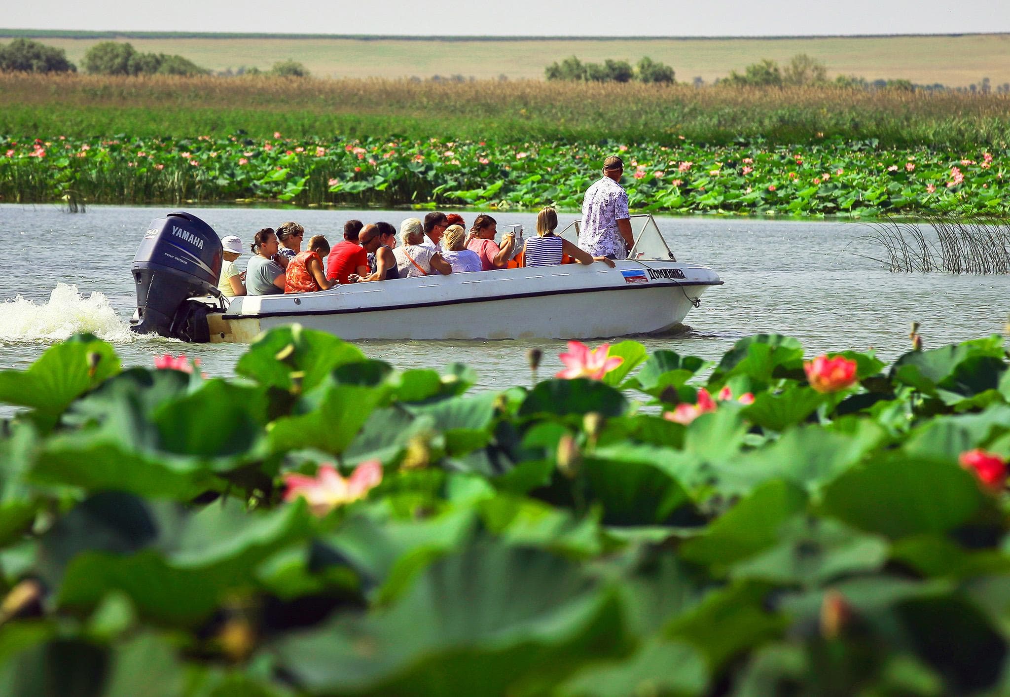 ЛОТОСЫ+ АЗОВСКОЕ МОРЕ - фото 3