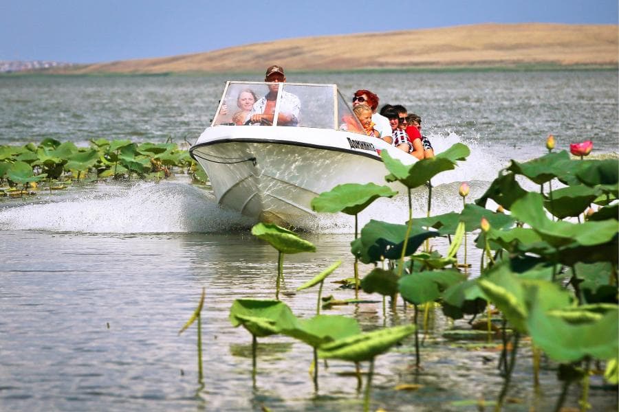 ЛОТОСЫ+ АЗОВСКОЕ МОРЕ - фото 4