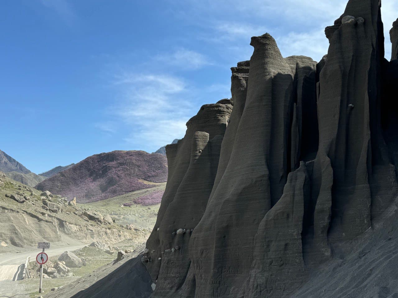 Весеннее пробуждение Алтая - фото 8