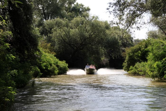 ЛОТОСЫ+ АЗОВСКОЕ МОРЕ - фото 5
