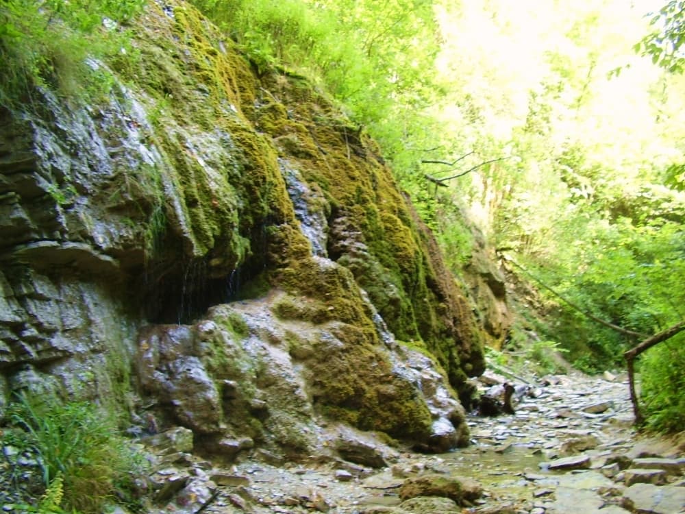 ВОДОПАДЫ ПШАДСКИЕ - фото 7