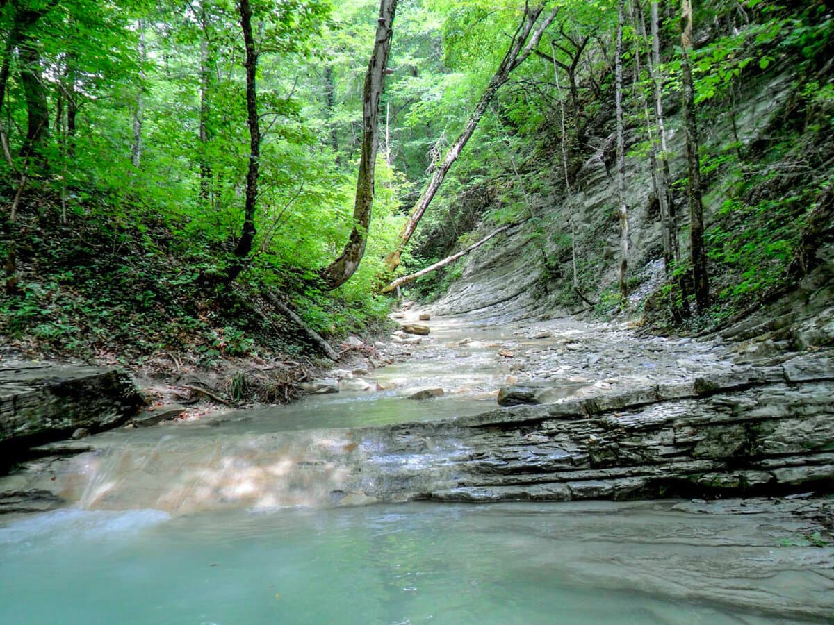 ВОДОПАДЫ ПШАДСКИЕ - фото 6