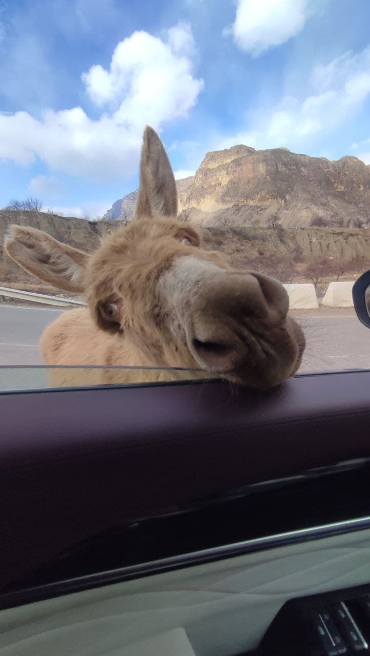 ТУР "В ГОСТИ К ГОРЦАМ" - фото 1