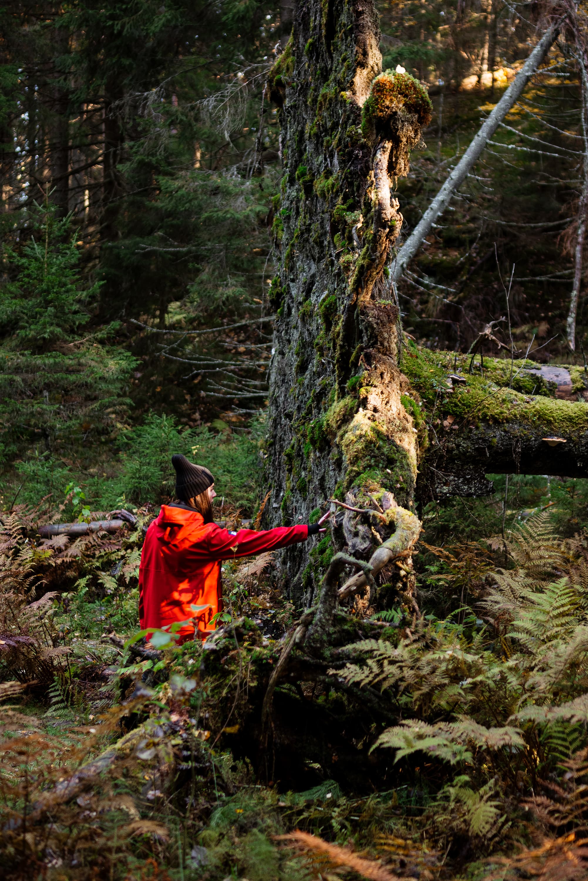 ВОДНЫЙ МИР ПРИЛАДОЖЬЯ. Лето 2026 - фото 2