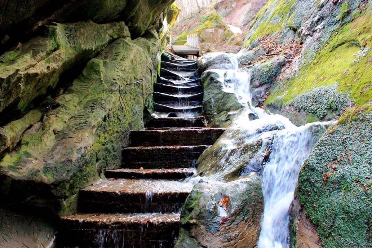 Горячий ключ + цветущий парк Галицкого в Краснодаре - фото 7