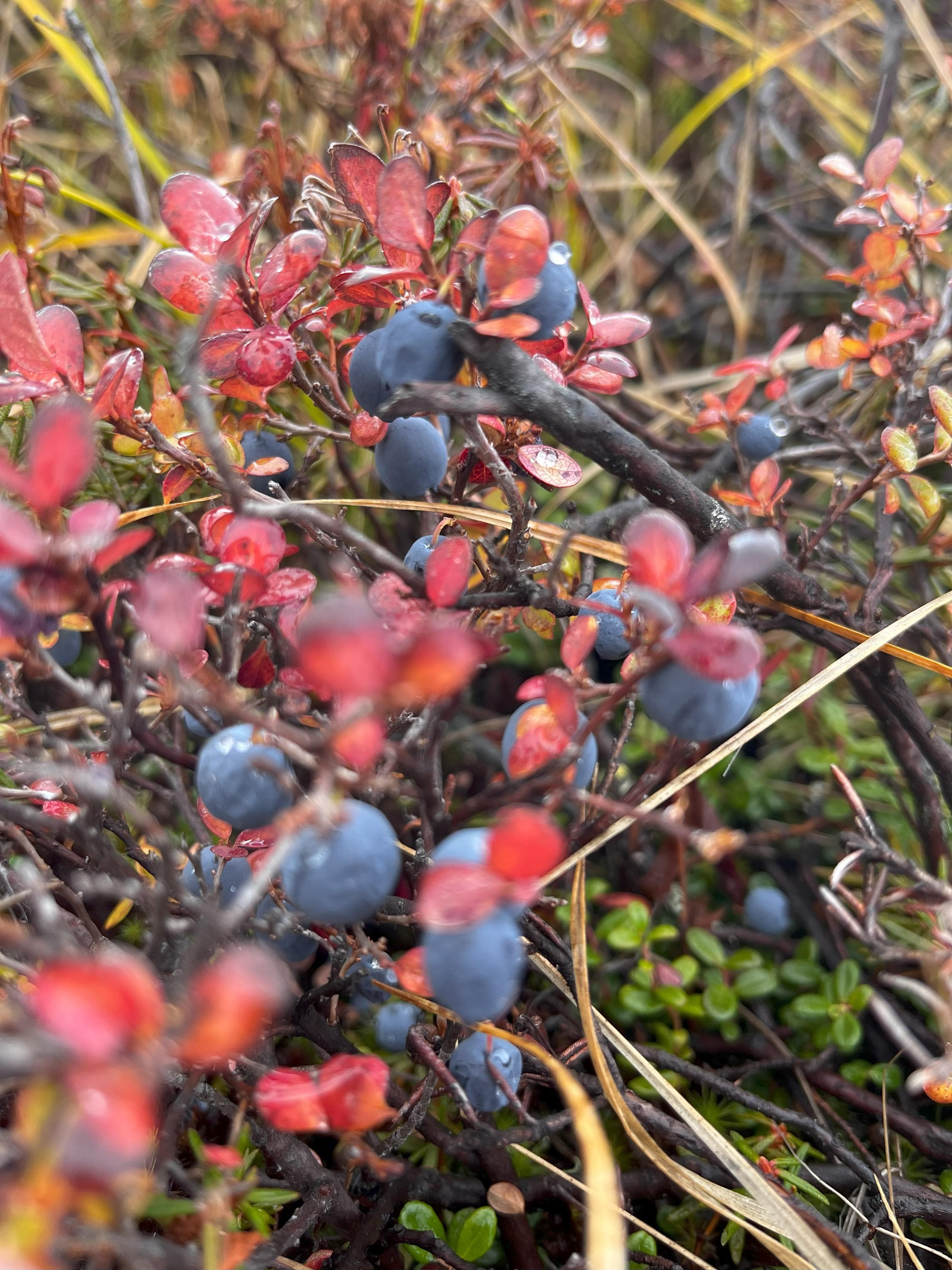 Озеро Толмачева - фото 3