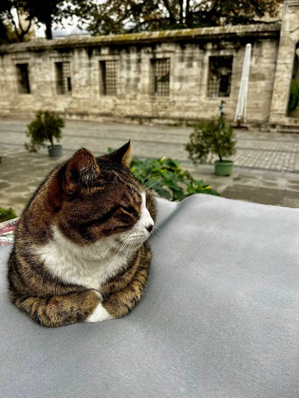 Классический Стамбул: 4 дня в сердце истории Идеальный тур для тех, кто впервые в Стамбуле - фото 5