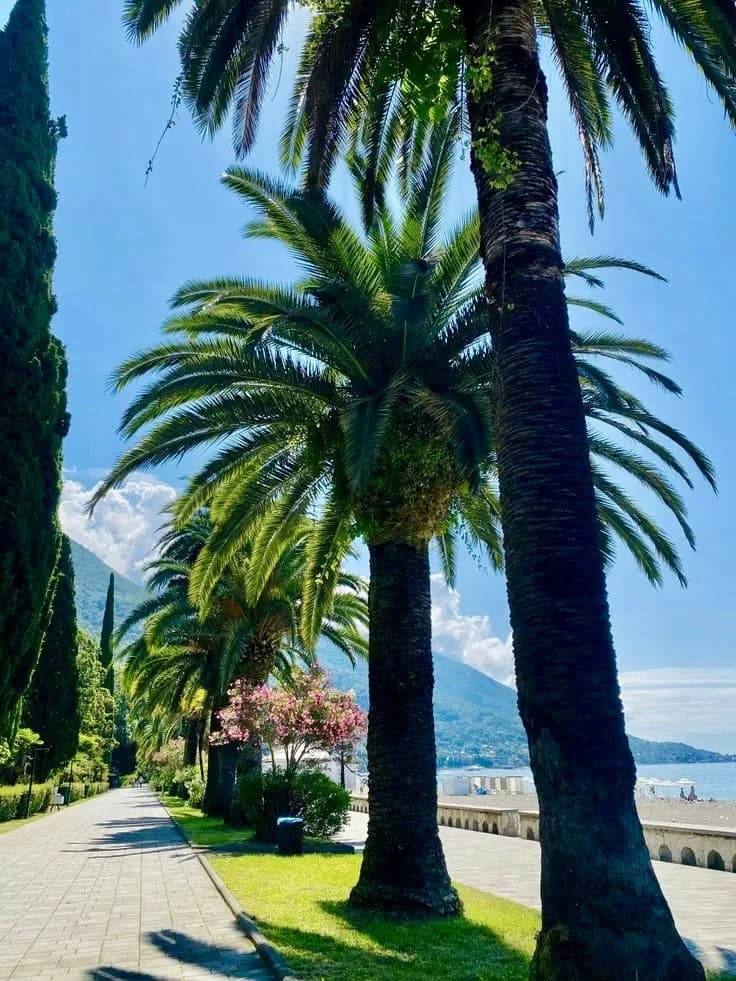 ВКУС ВЕСЕННЕЙ АБХАЗИИ - фото 4