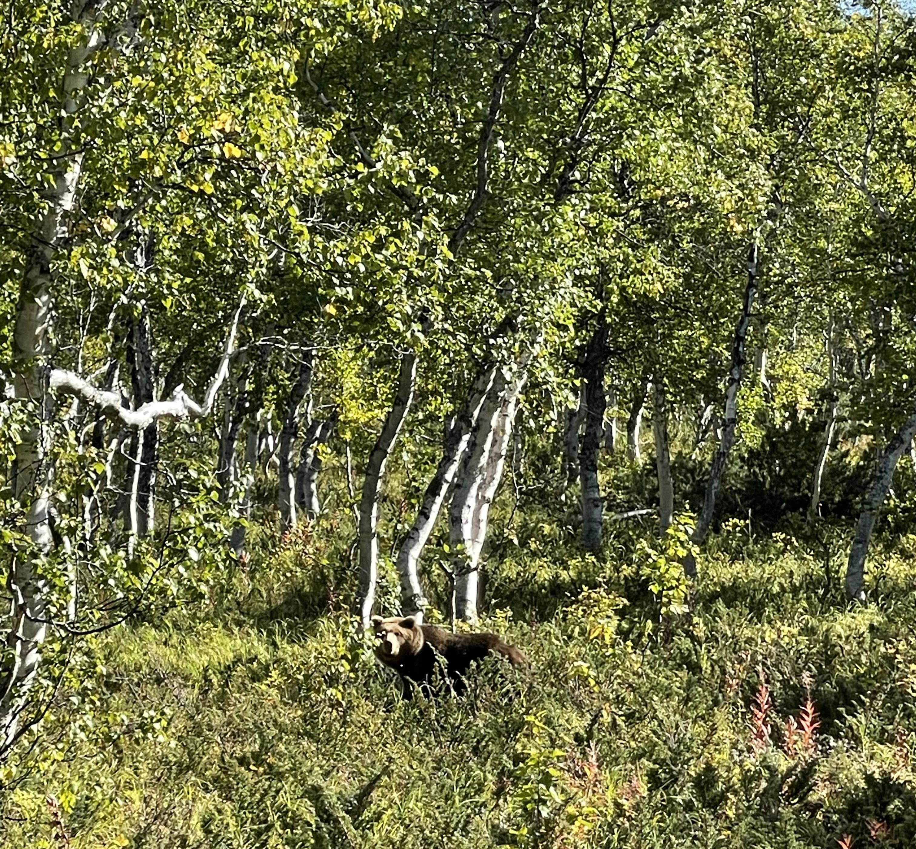 Озеро Толмачева - фото 5