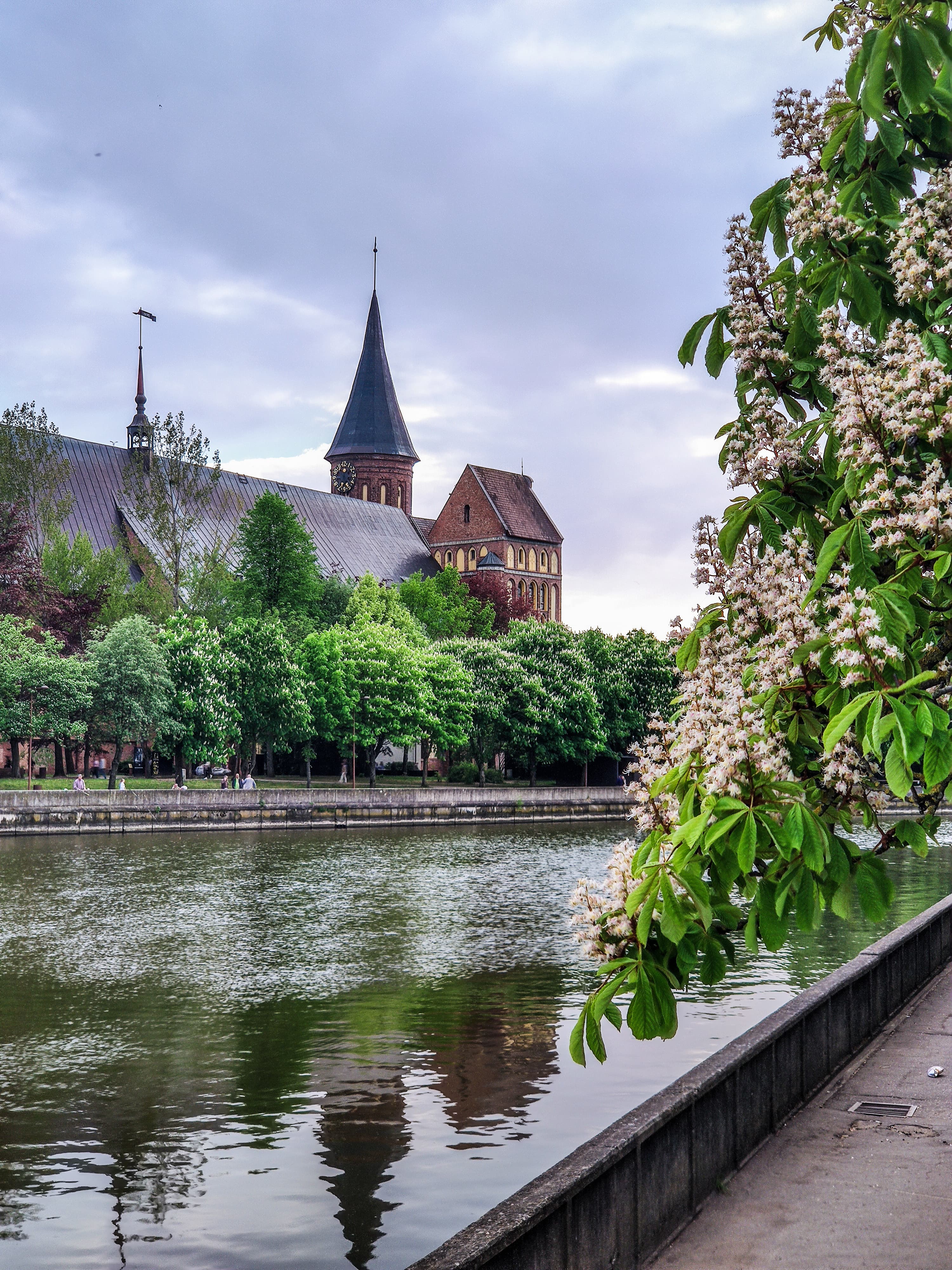 Тур "Впервые в Калининграде" 4 дня/3 ночи - фото 8