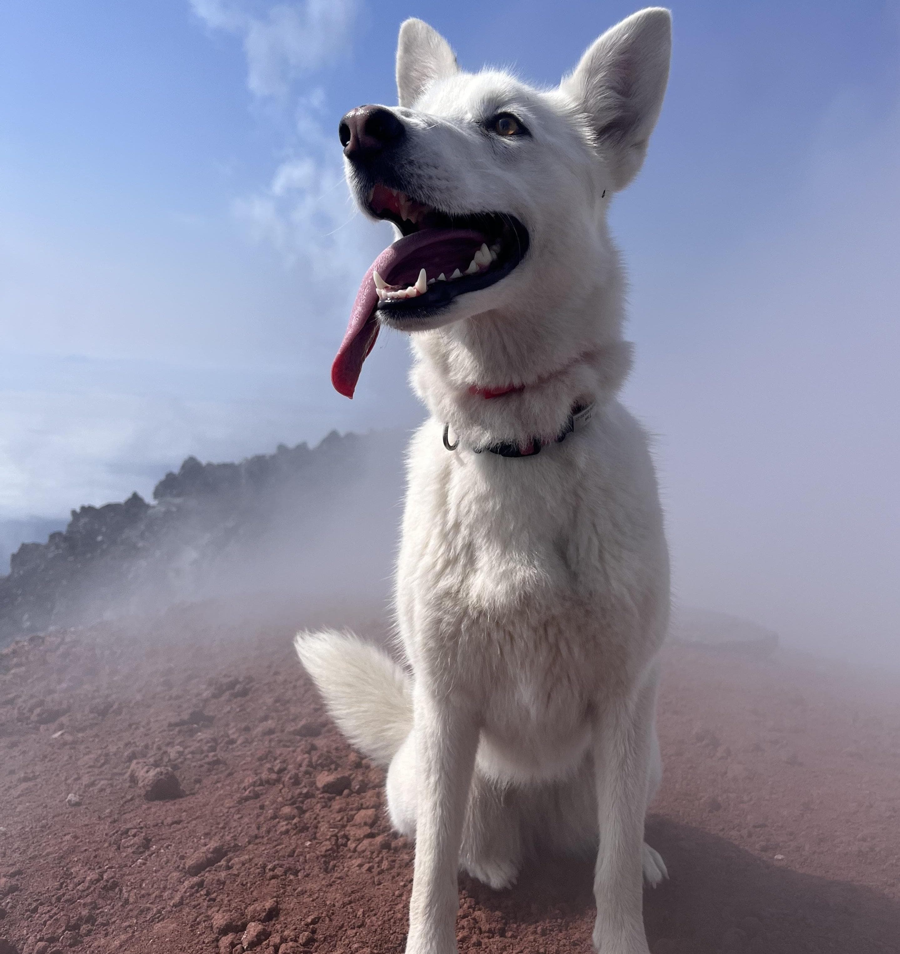 Восхождение на Авачинский вулкан - фото 2