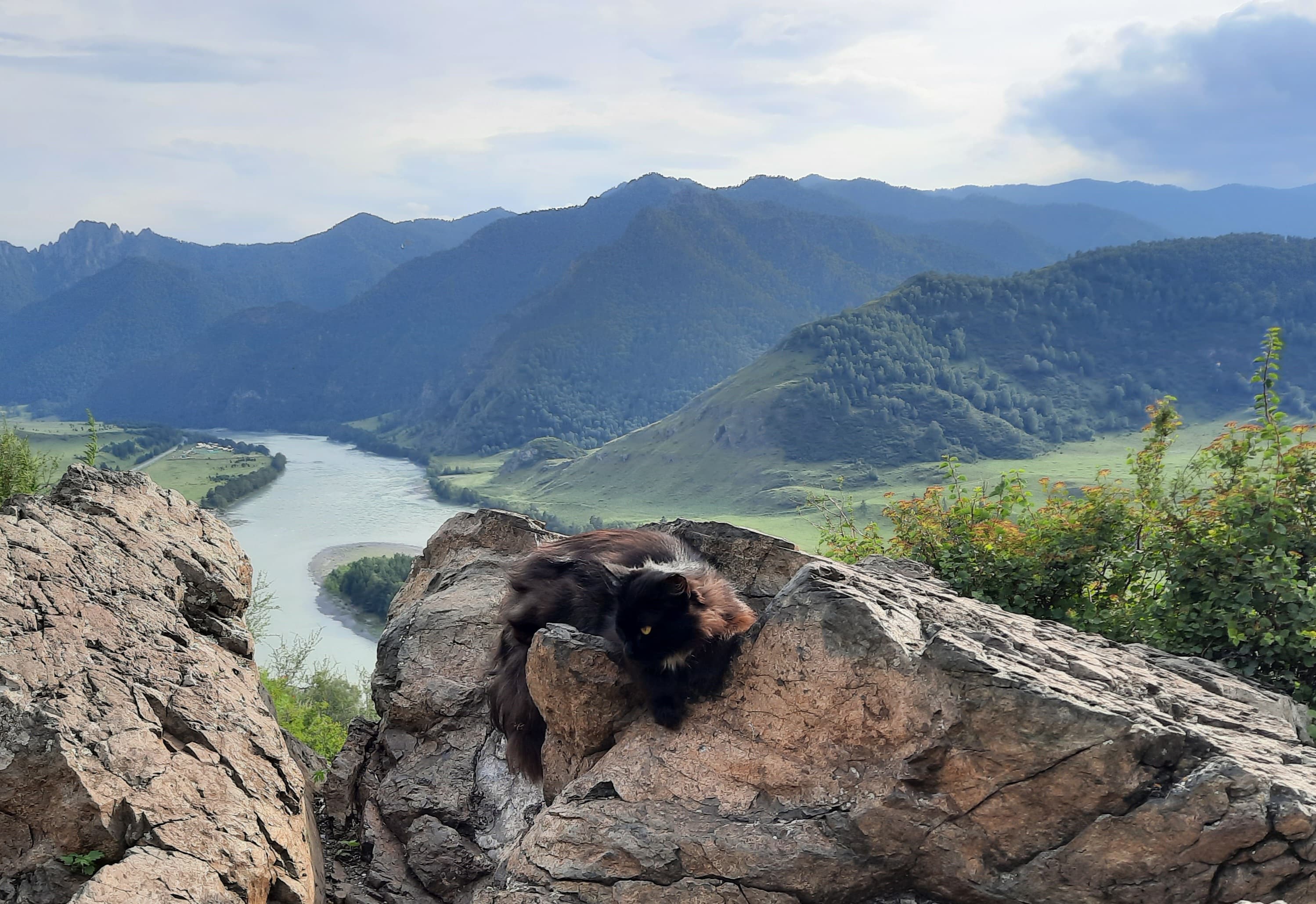 Жемчужины Алтая - фото 4