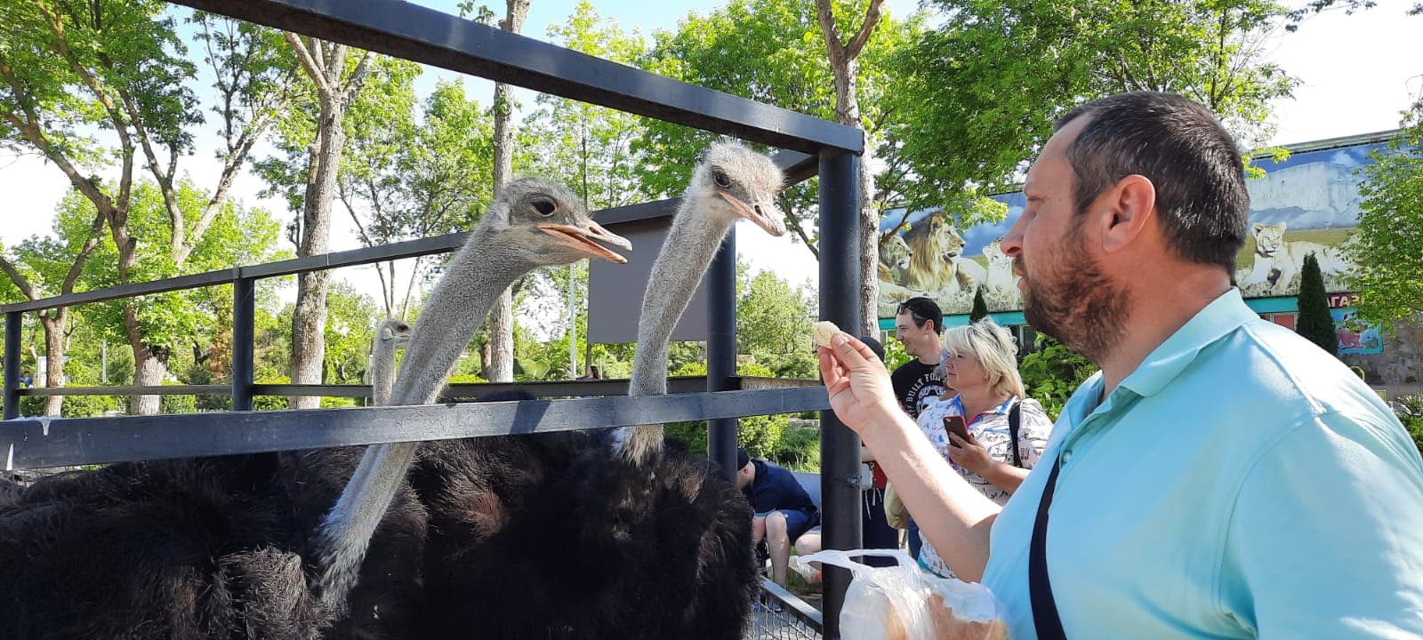 Сафари-парк "Тайган" - фото 4
