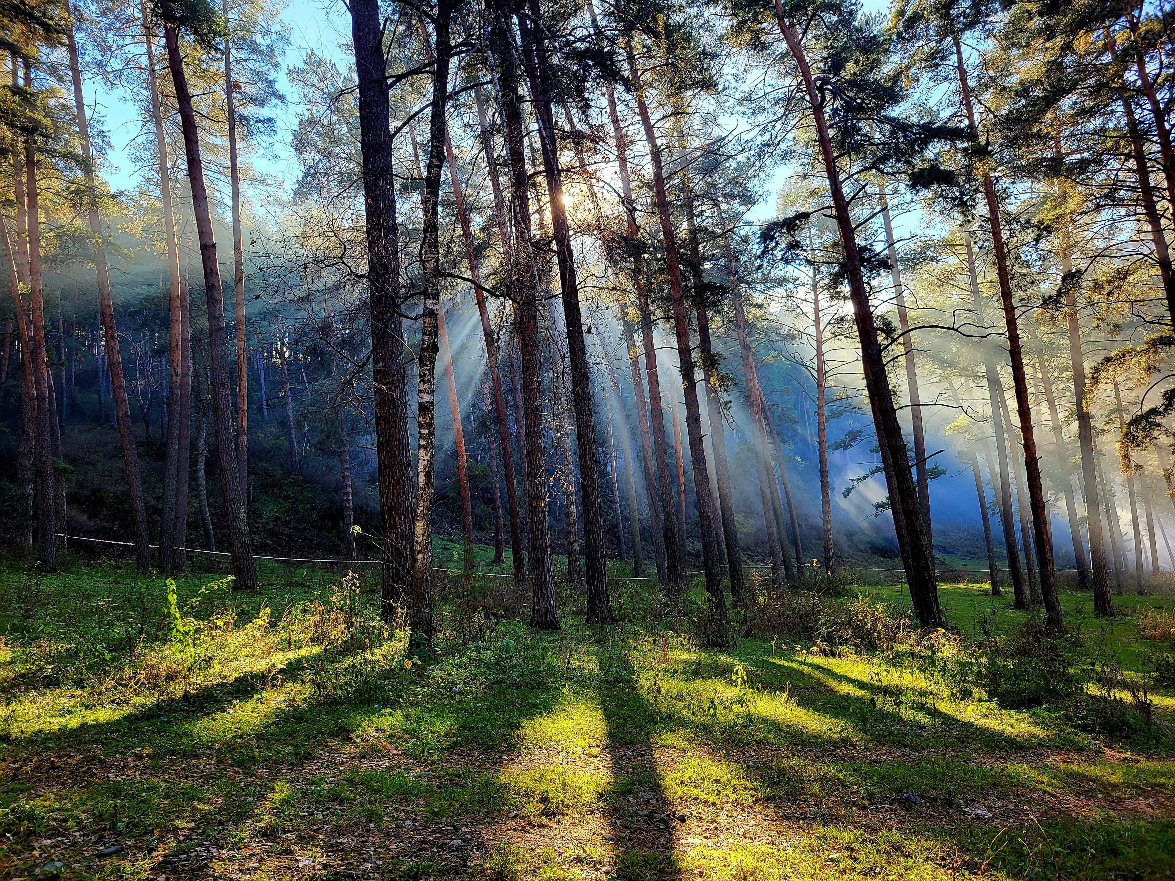 "В объятиях Алтая", осенний автотур - фото 8