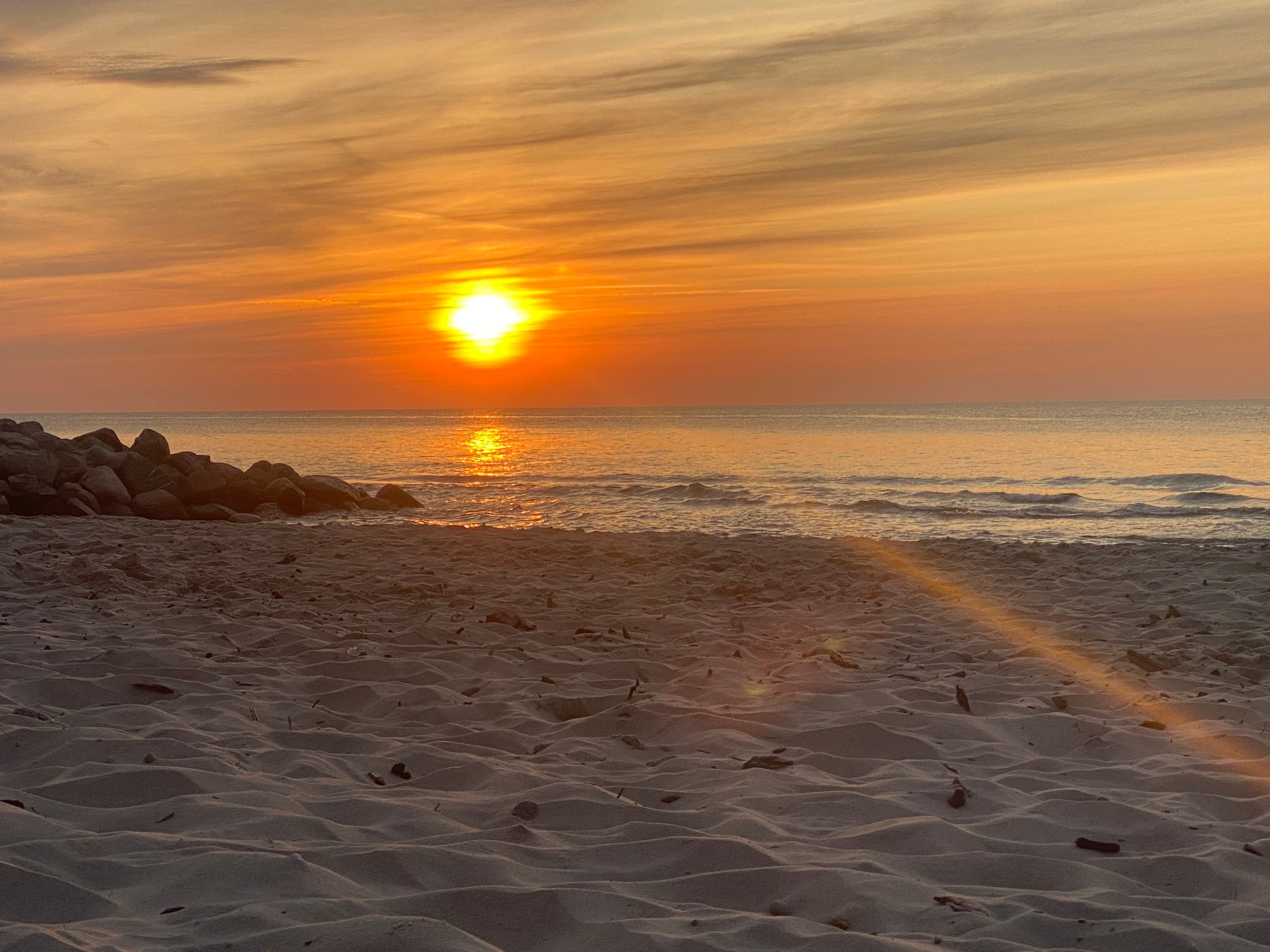 Балтийская панорама 2026 - фото 6