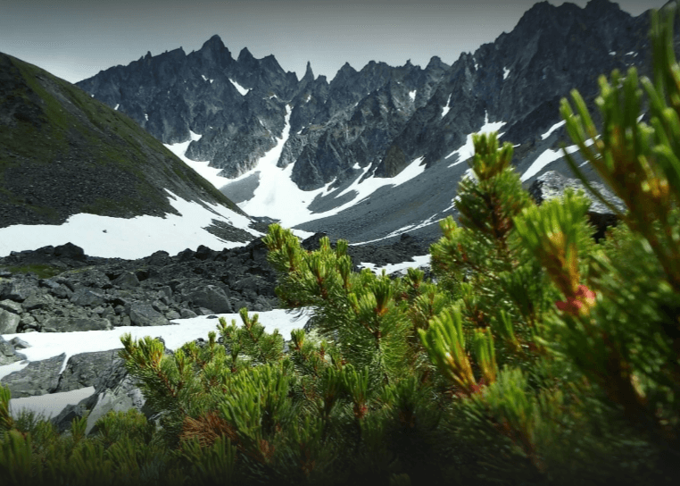 Ганальские востряки - фото 8