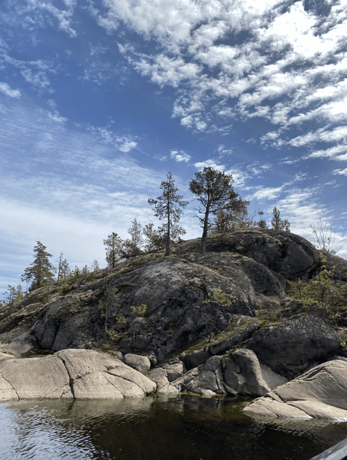 ВЕЛИКАЯ ЛАДОГА. Лето 2026 - фото 10