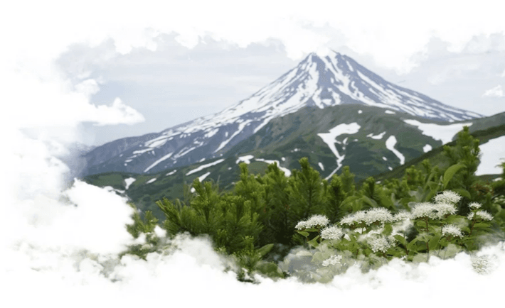 Восхождение на вулкан Вилючинский