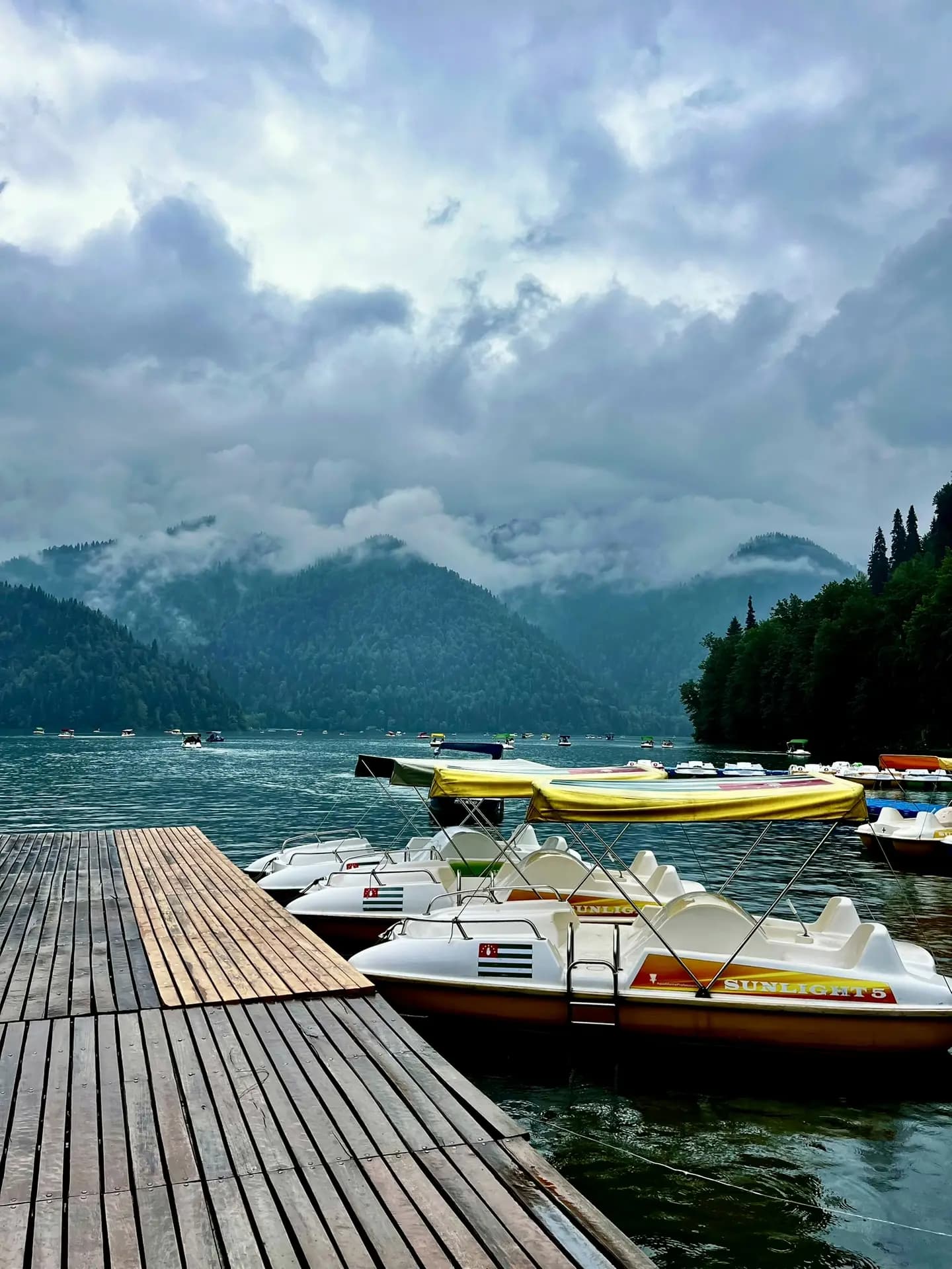ВКУС ВЕСЕННЕЙ АБХАЗИИ - фото 10