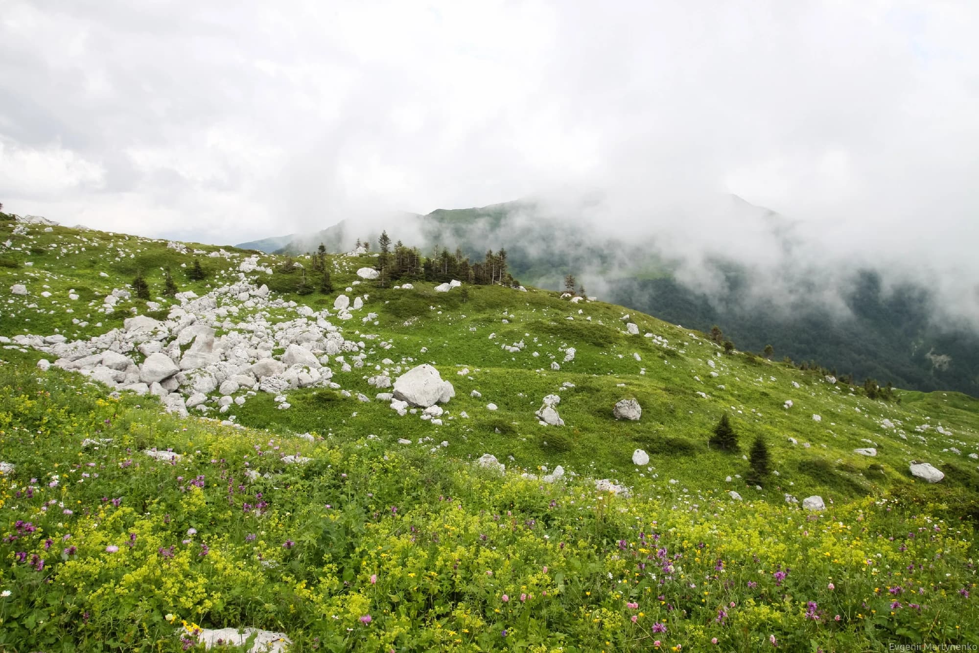 Адыгея: через горы к морю. Легендарная "Тридцатка" + сплав - фото 8