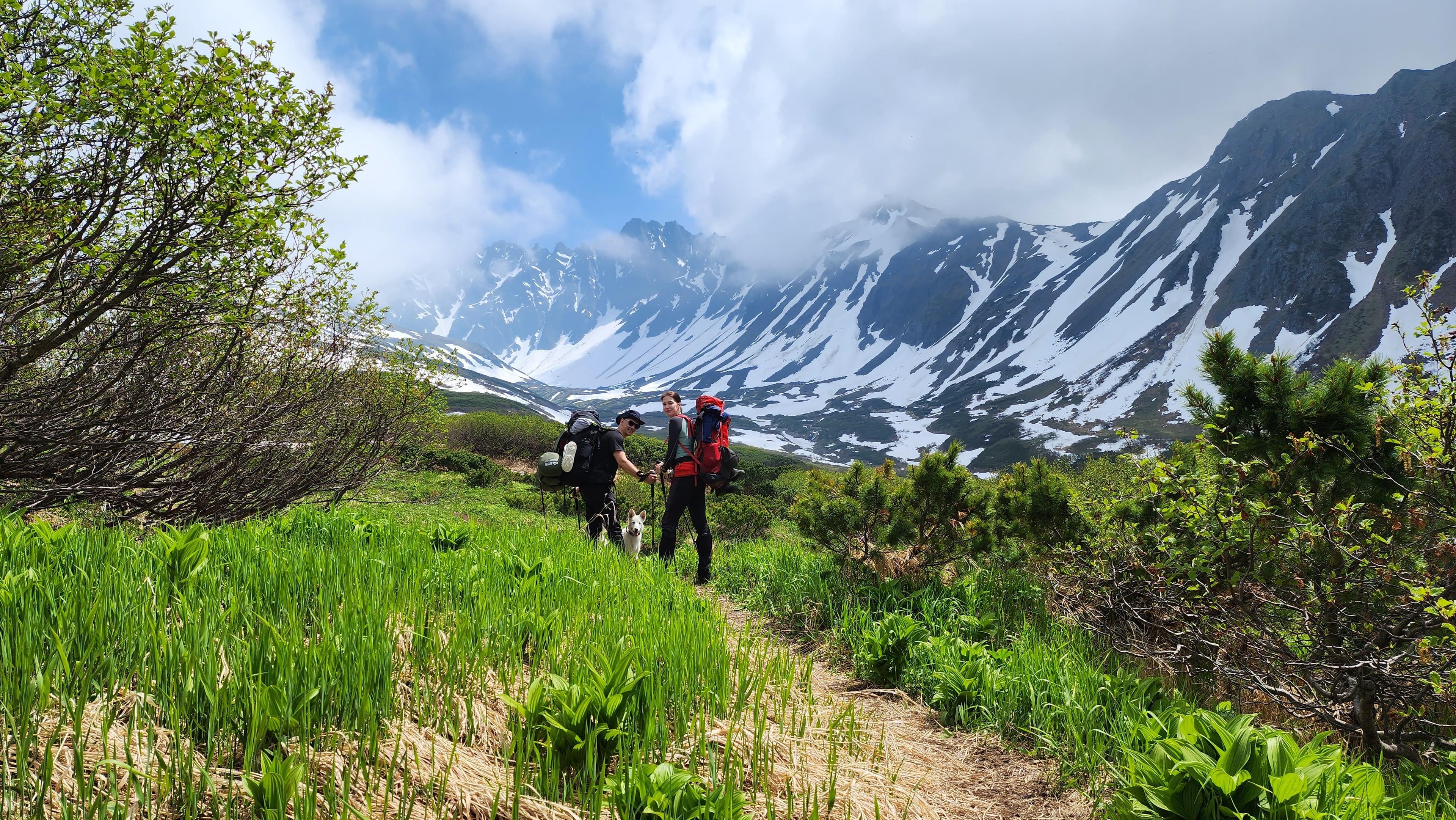 Ганальские востряки