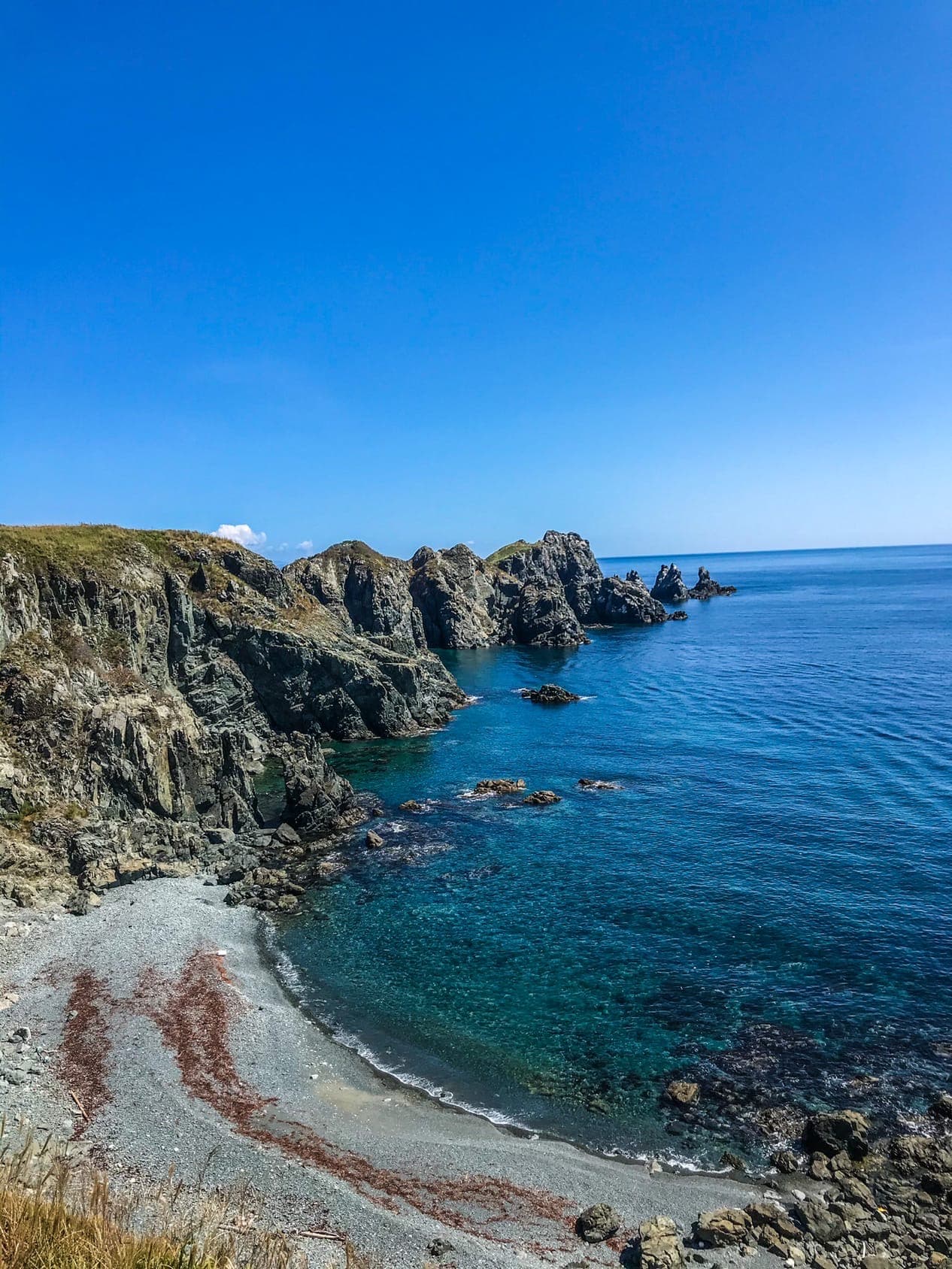 Дайвинг тур в Японском море - фото 5