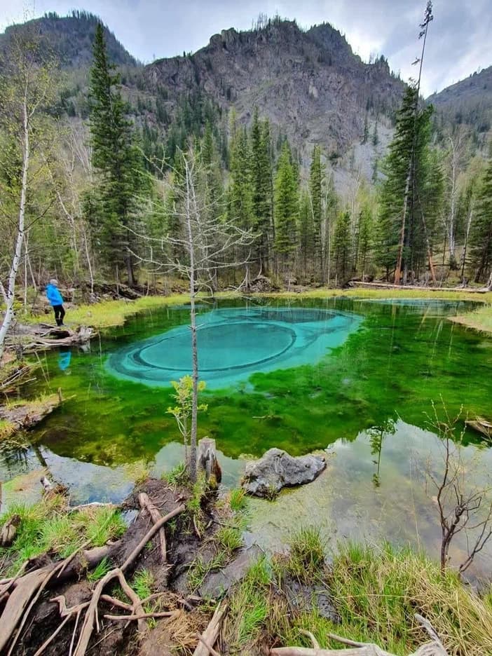 Алтайский обзорный ( 6 дней / 5 ночей )