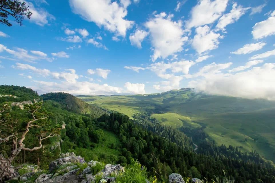 ТУР ТЕРРИТОРИЯ ДЕТСТВА / летние каникулы 8 дней - фото 5