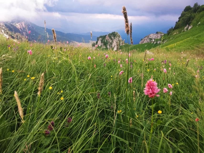 Экскурсионно-приключенческий тур «Едем в горы» 8 дней / 7 ночей / 6 активных дней - фото 2