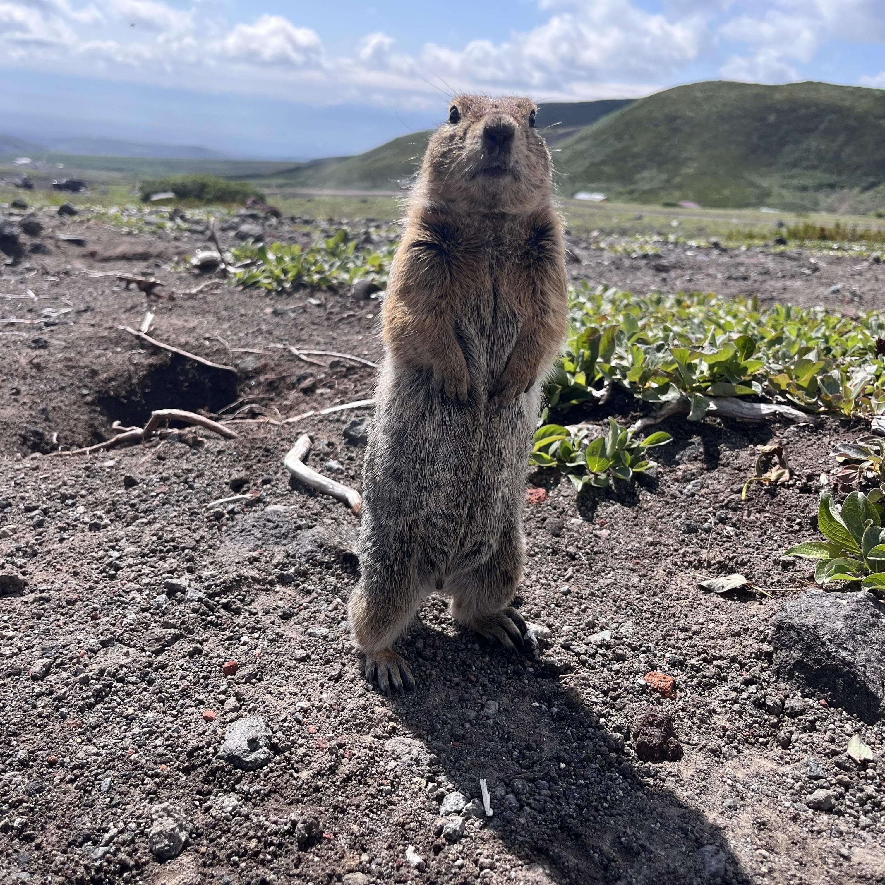 Восхождение на Авачинский вулкан - фото 5