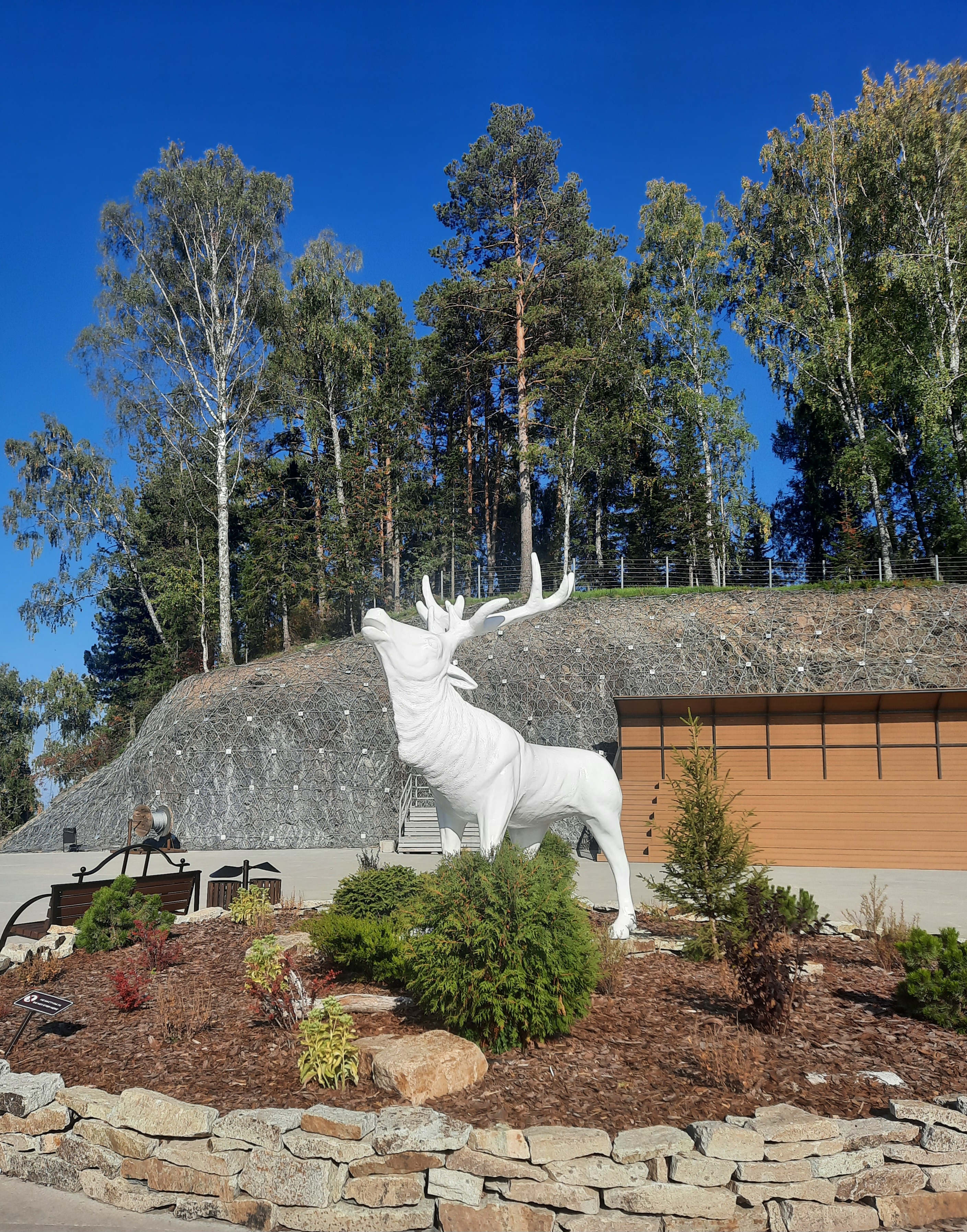 Гранд-тур по Алтаю - фото 7