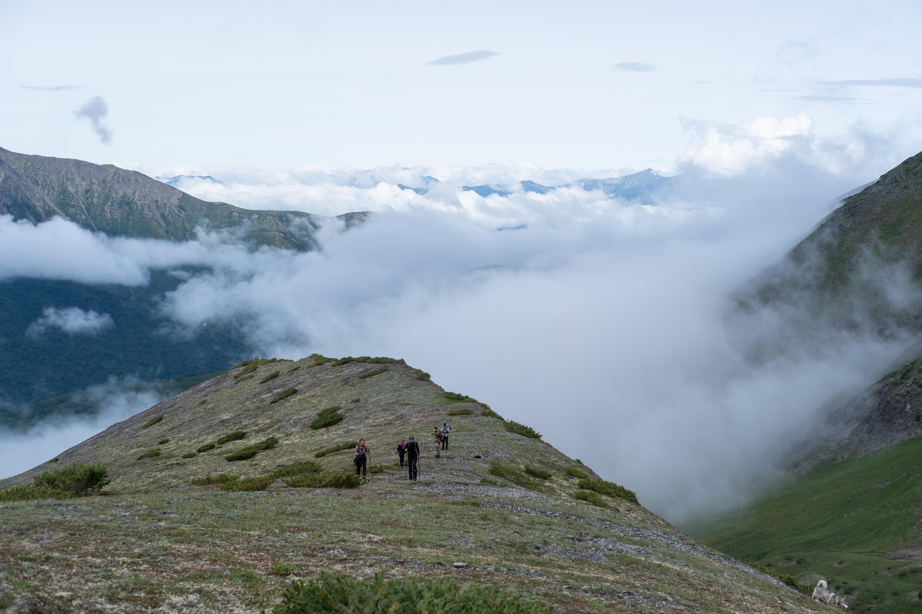 Ганальские востряки - фото 6