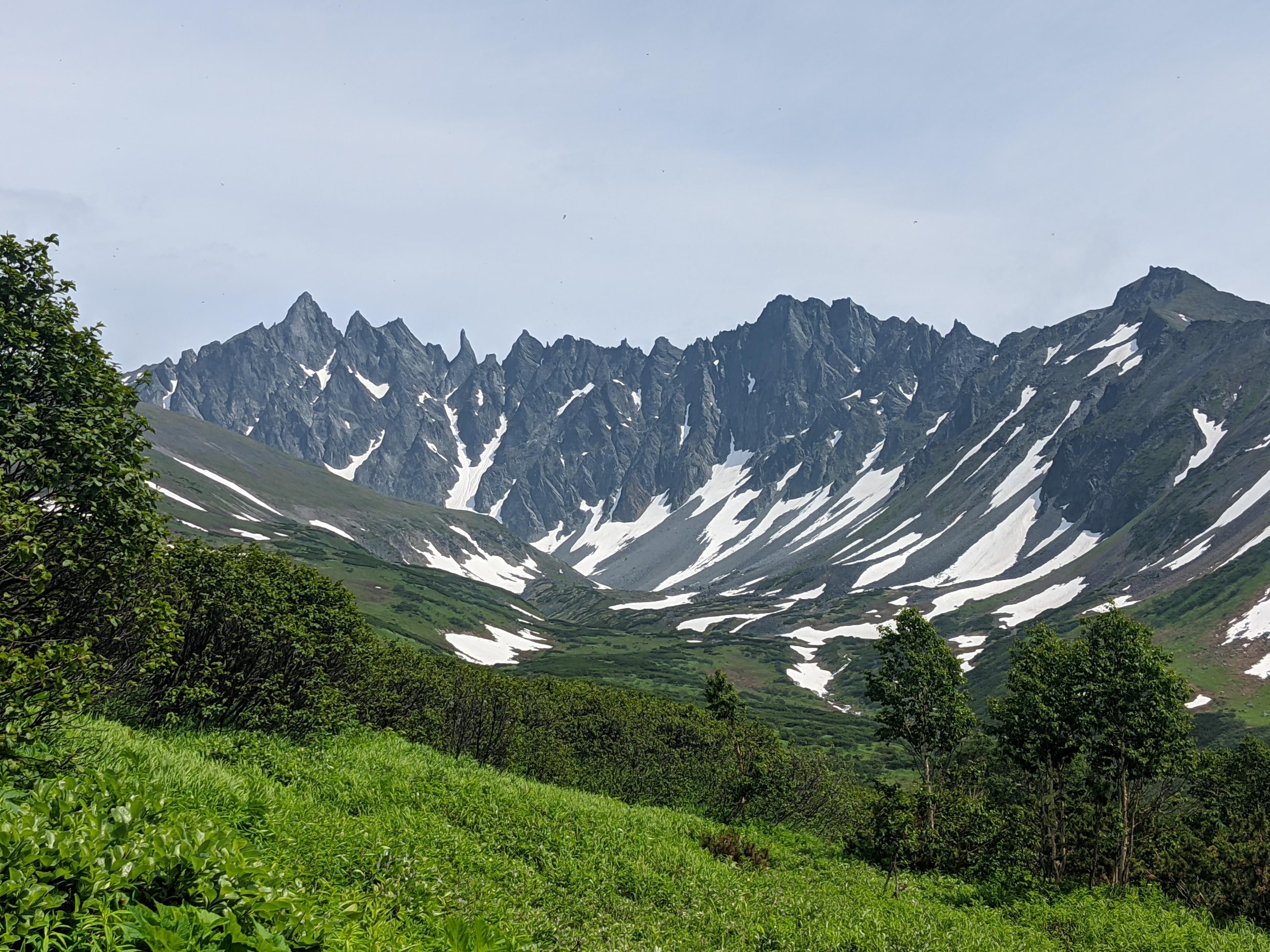Ганальские востряки - фото 5